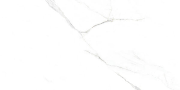 Πλακάκι LIVORNO 60×120